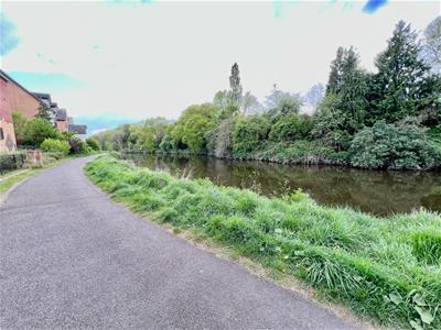 Picture 16